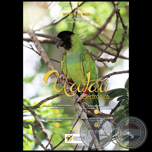 URUTAÚ ELECTRÓNICO Revista -  EDICIÓN 6 al 8 - Año 2019